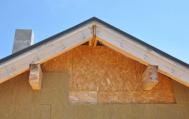 Best Storm Damage Siding Repair  in Jewett City, CT